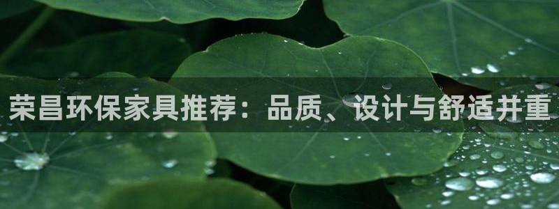 杏宇平台地址