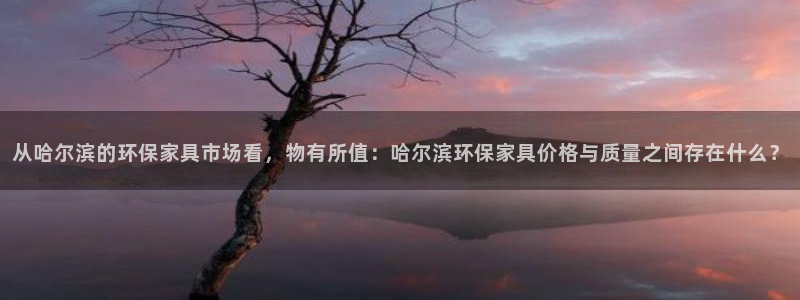 杏宇官网注册地址：从哈尔滨的环保家具市场看，物有所值：哈尔滨