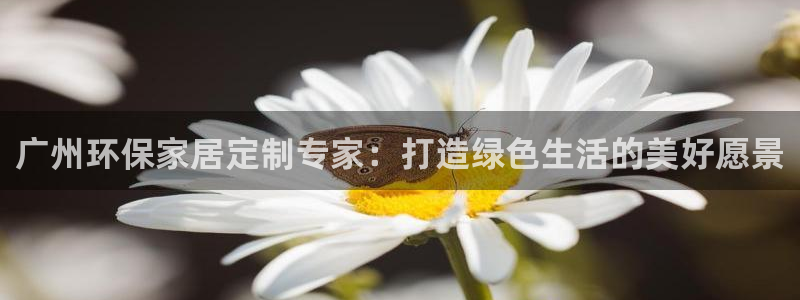 杏宇客户端登陆