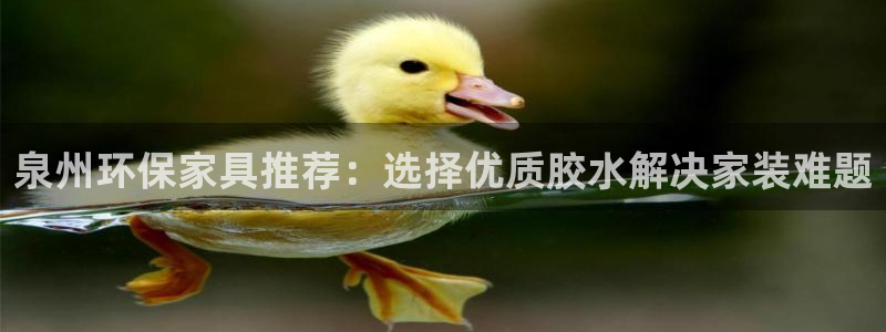 杏宇app怎样申请