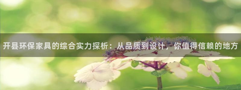 杏宇总代理