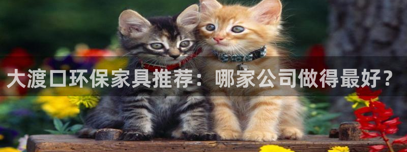 杏宇是什么平台