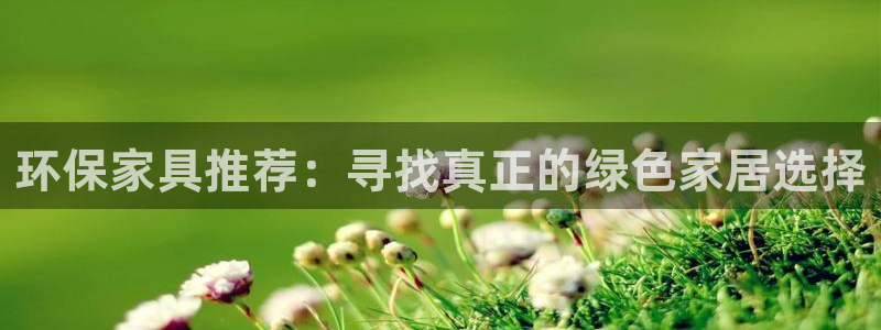 杏宇测速网址电脑版：环保家具推荐：寻找真正的绿色家居选择