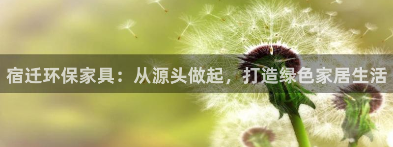 杏宇平台可以提款吗：宿迁环保家具：从源头做起，打造绿色家居生