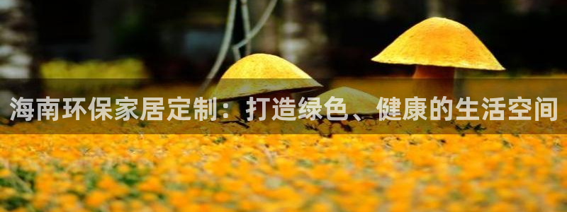 杏宇平台官方网站下载：海南环保家居定制：打造绿色、健康的生活