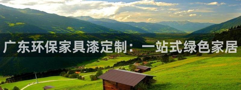 杏宇代理连接：广东环保家具漆定制：一站式绿色家居