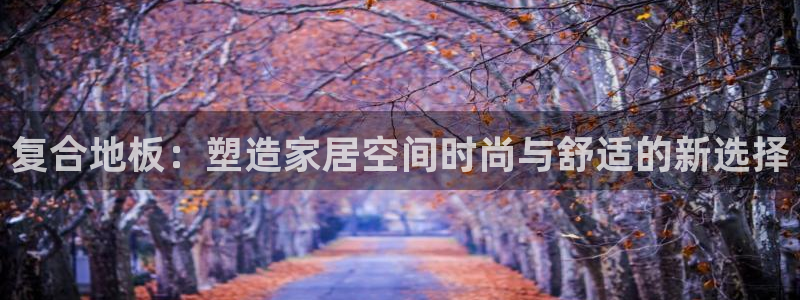 杏宇代理注册：复合地板：塑造家居空间时尚与舒适的新选择