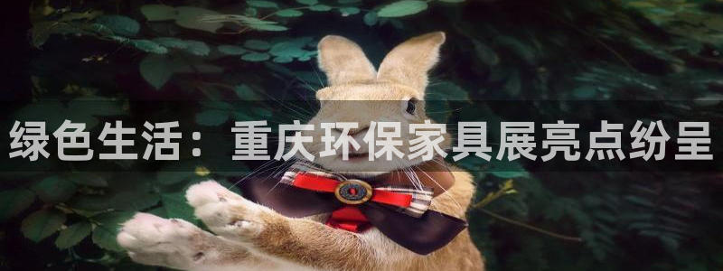 杏宇平台注册问一问：绿色生活：重庆环保家具展亮点纷呈
