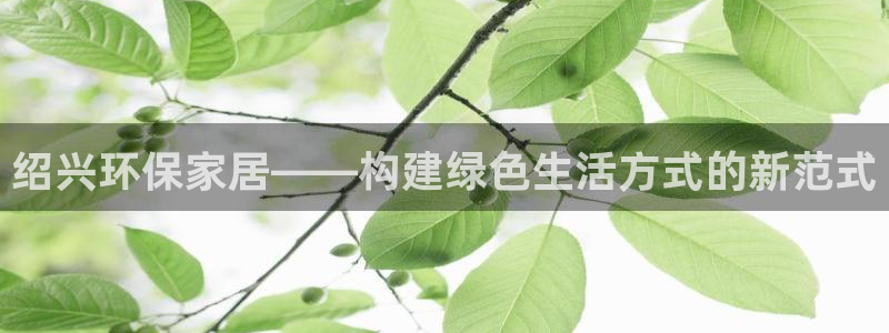 杏宇平台地址