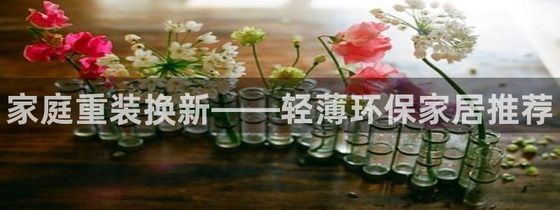 杏宇平台代理登录网址是多少：家庭重装换新——轻薄环保家居推荐