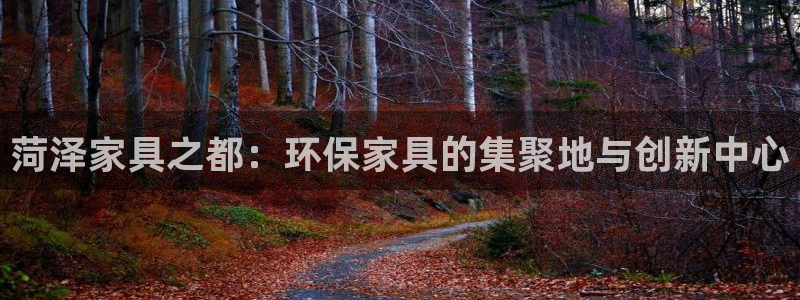 杏宇官网网站：菏泽家具之都：环保家具的集聚地与创新中心