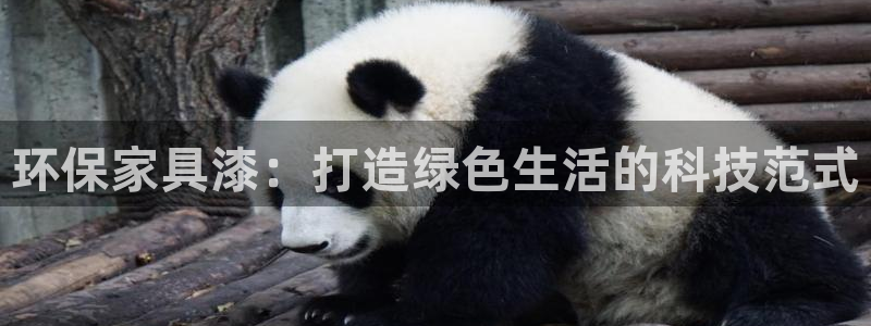 杏宇开户app下载：环保家具漆：打造绿色生活的科技范式