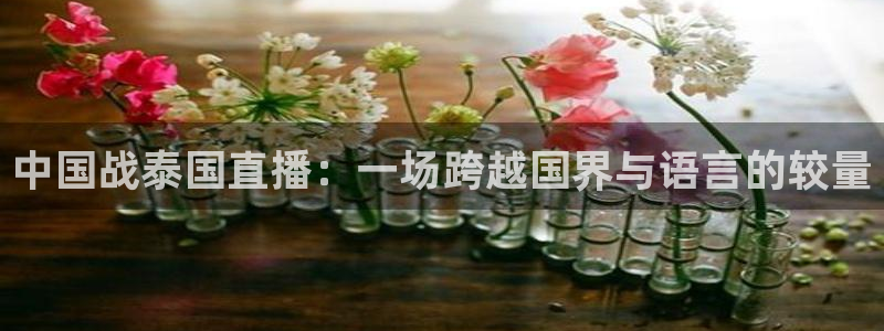 蜘蛛直播体育：中国战泰国直播：一场跨越国界与语言的较量