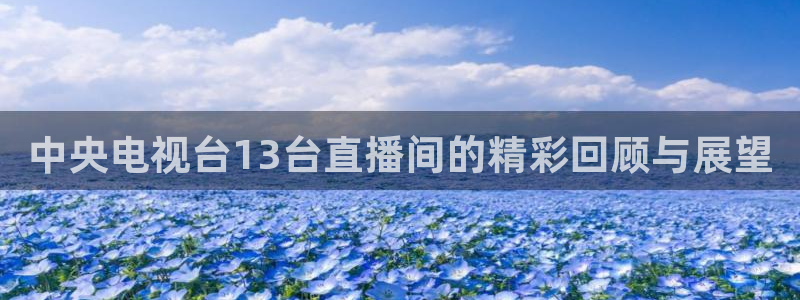 蜘蛛体育免费直播在线观看：中央电视台13台直播间的精彩回顾与展望