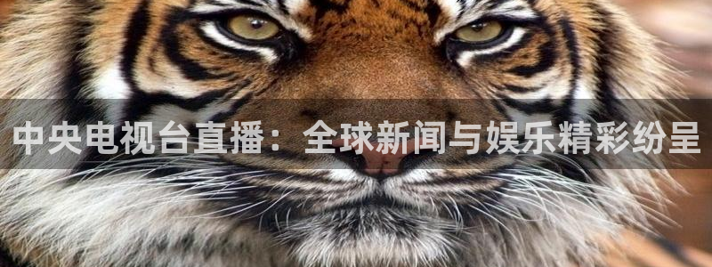 蜘蛛nba直播免费观看：中央电视台直播：全球新闻与娱乐精彩纷呈