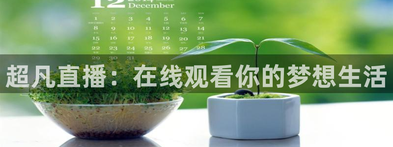 nba蜘蛛直播：超凡直播：在线观看你的梦想生活
