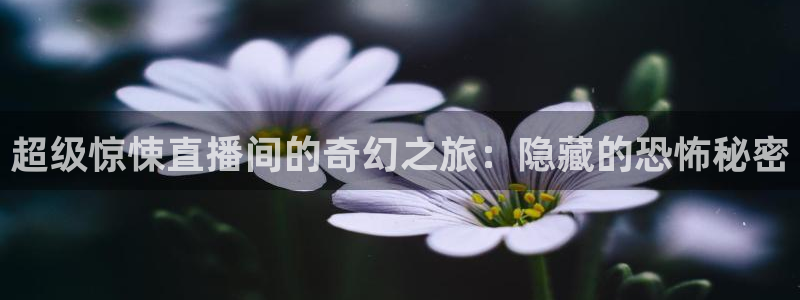 蜘蛛体育小狐狸：超级惊悚直播间的奇幻之旅：隐藏的恐怖秘密
