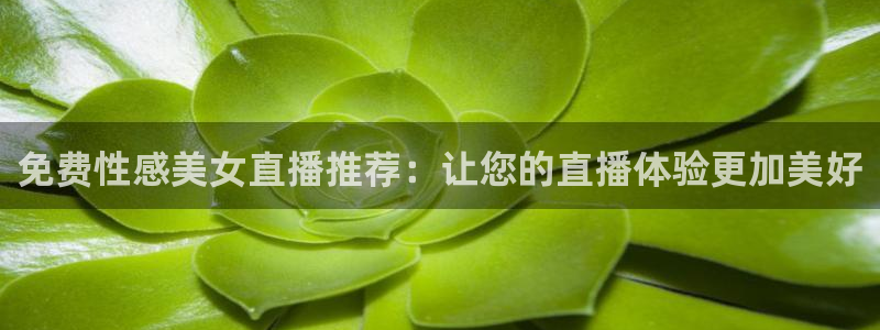 蜘蛛体育nba直播入口：免费性感美女直播推荐：让您的直播体验更加美好