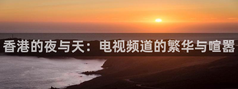 蜘蛛直播nba免费观看篮球：香港的夜与天：电视频道的繁华与喧嚣