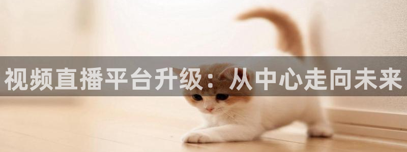 蜘蛛足球：视频直播平台升级：从中心走向未来