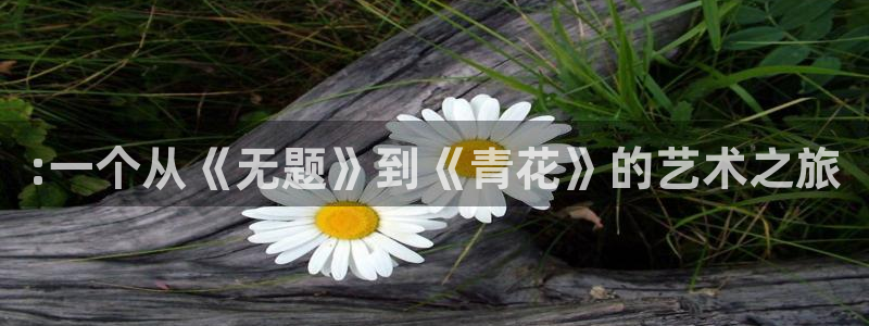 nba蜘蛛：:一个从《无题》到《青花》的艺术之旅